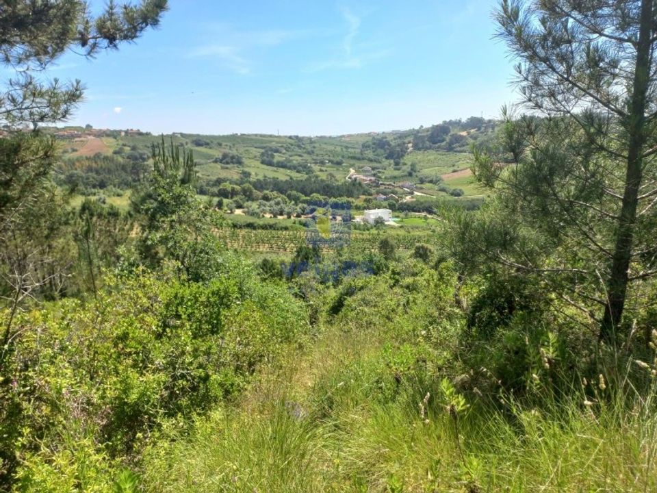Helårsgrund i Caldas da Rainha, Leiria - foto 4