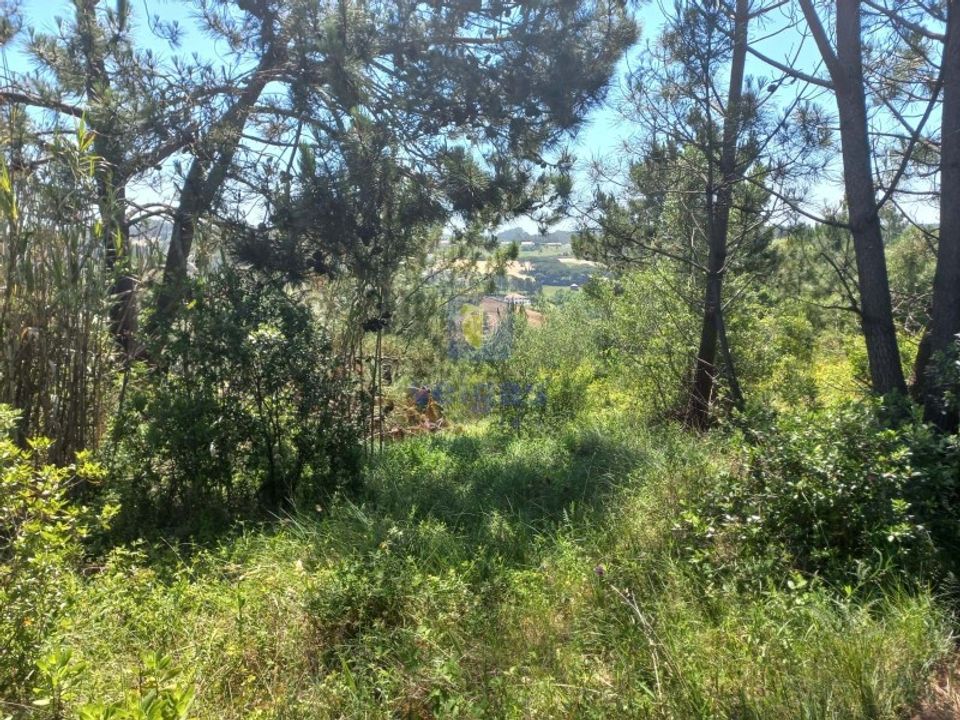 Helårsgrund i Caldas da Rainha, Leiria - foto 5