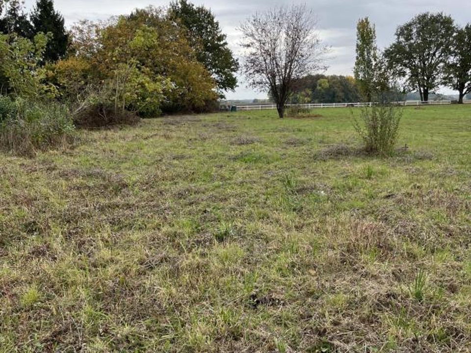 Helårsgrund i Sonchamp, Yvelines - foto 3