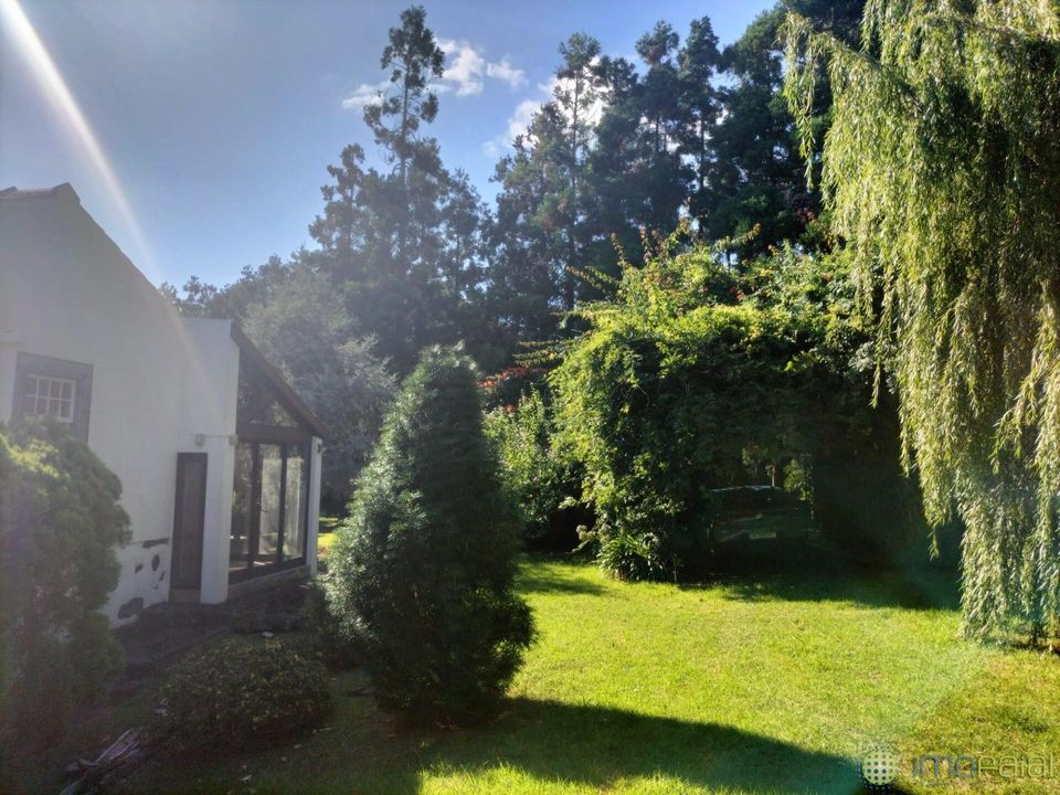 Rekkehus i Horta, Faial - bilde 4