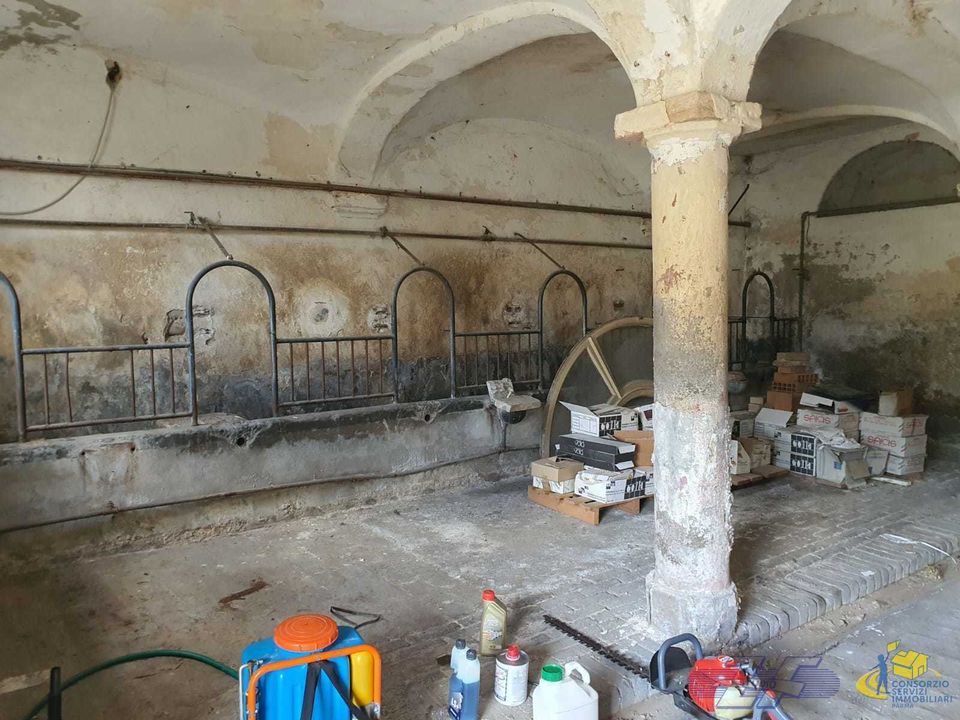 Byhus i Langhirano, Parma - foto 5