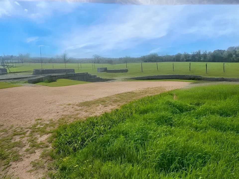 Villa i Saint-Martin-la-Pallu, Vienne - foto 4