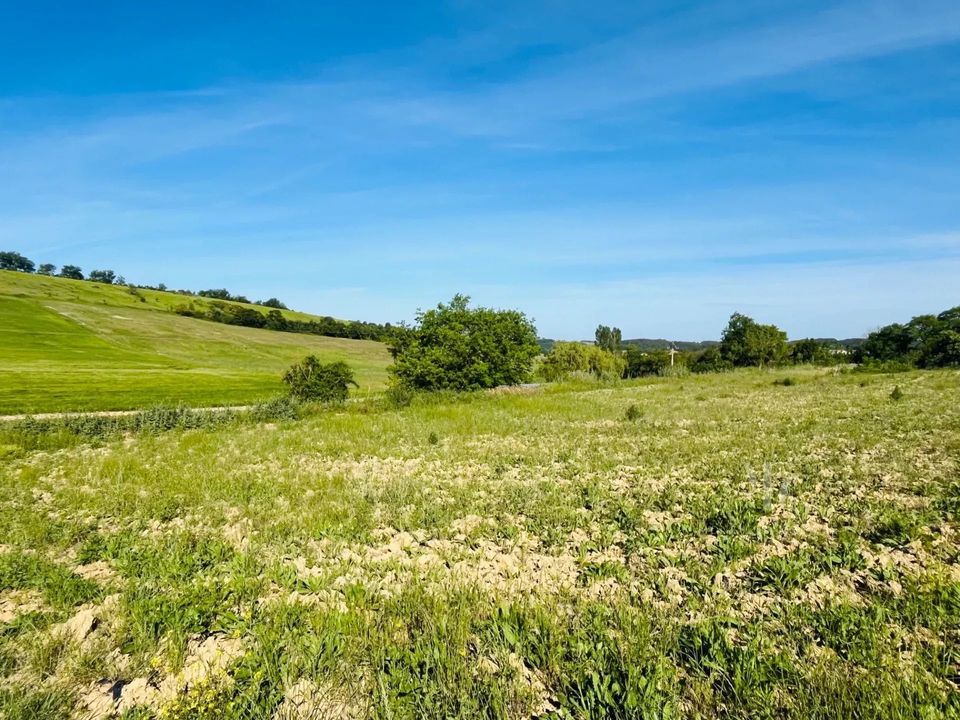 Terra a Villefranche-de-Lauragais, Haute-Garonne - foto 2