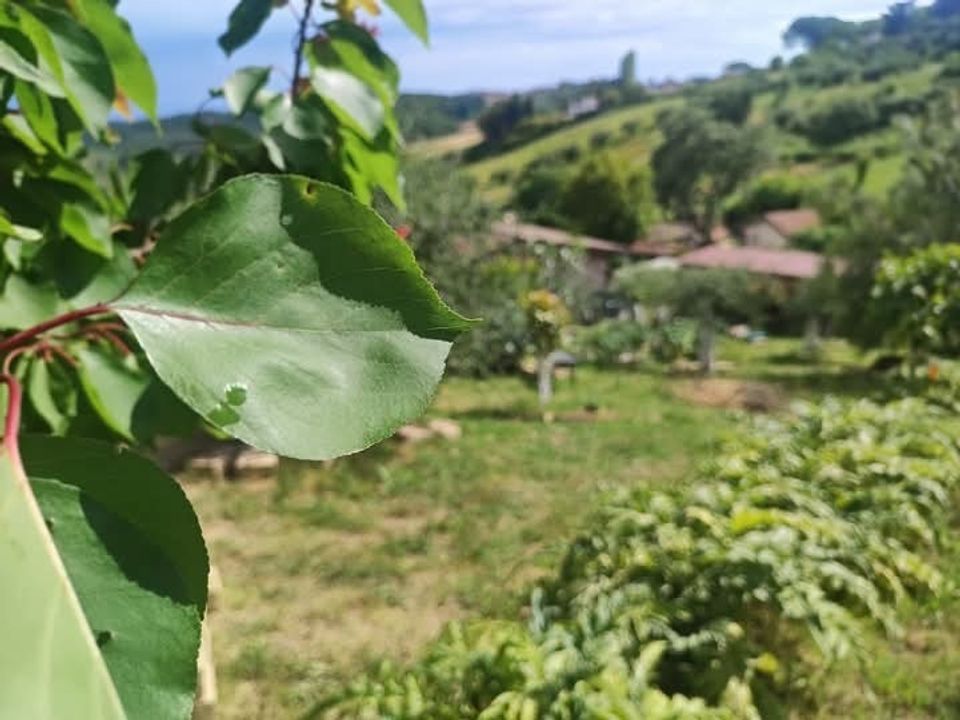 Erhvervsejendom i Fonte Nuova, Rome - foto 1