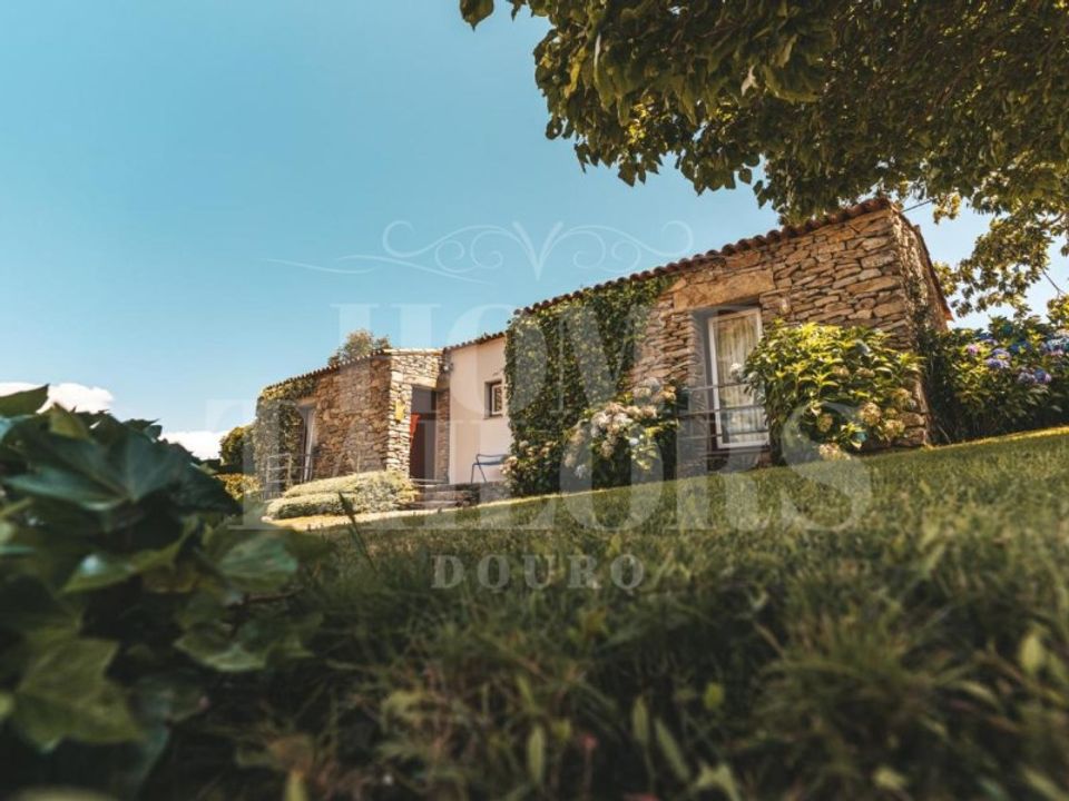 Erhvervsejendom i Moimenta da Beira, Viseu - foto 3