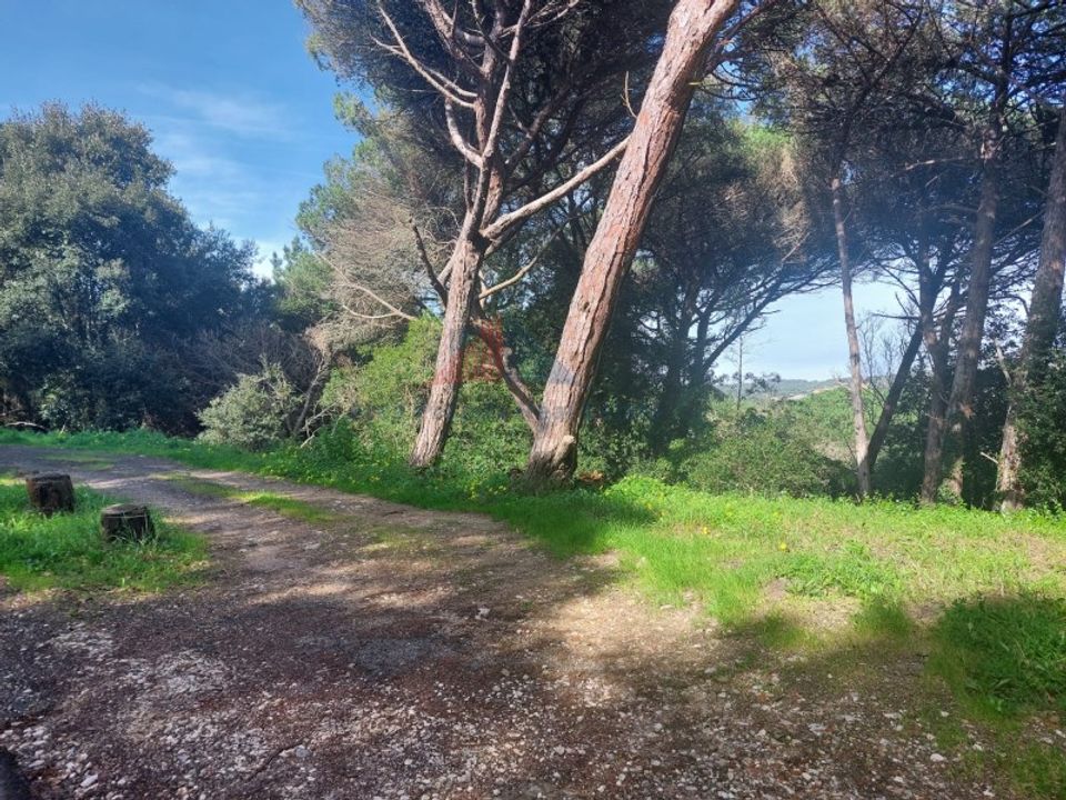 Helårsgrund i Sintra, Lisbon - foto 1