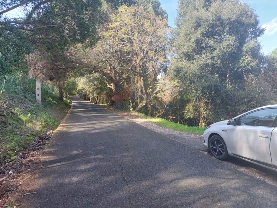 Helårsgrund i Sintra, Lisbon - foto 4