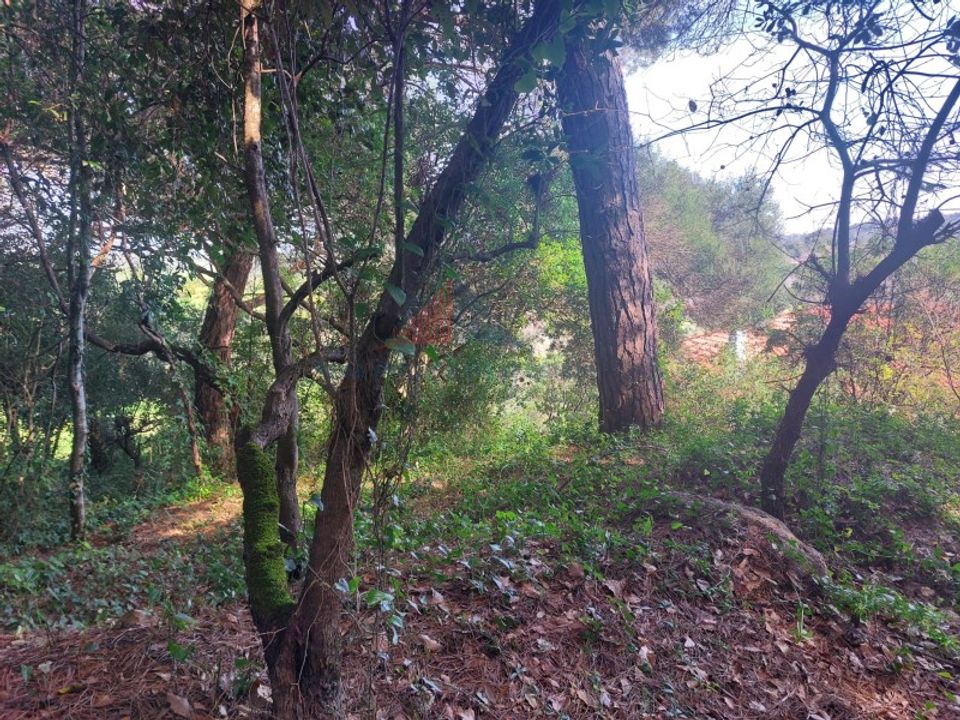 Helårsgrund i Sintra, Lisbon - foto 5
