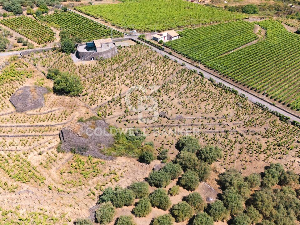 Farm i Castiglione di Sicilia, Catania - foto 1
