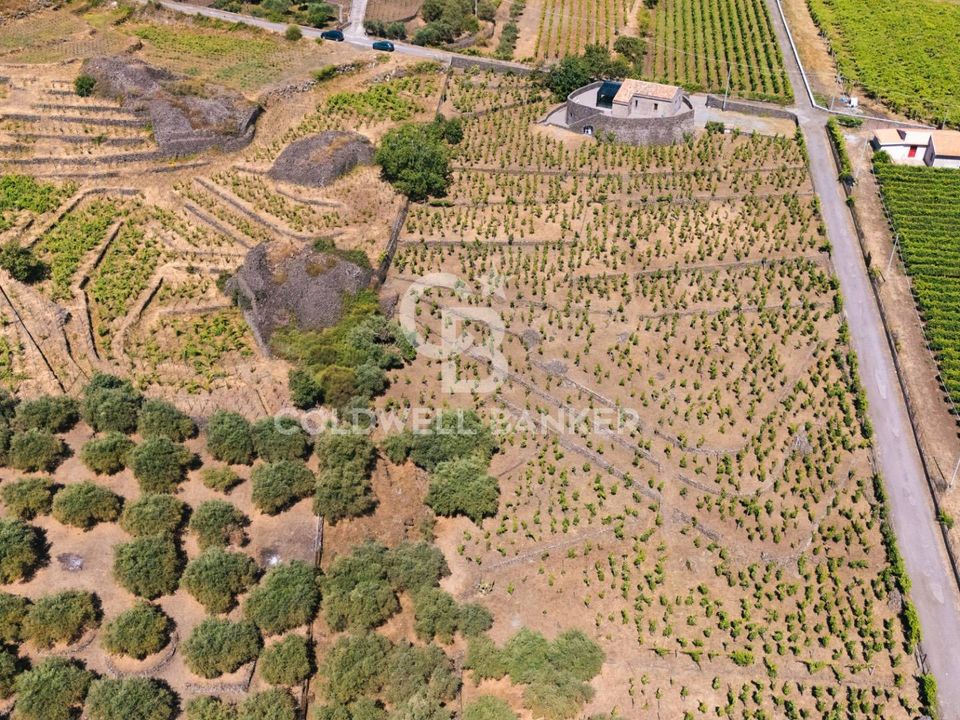 Farm i Castiglione di Sicilia, Catania - foto 4