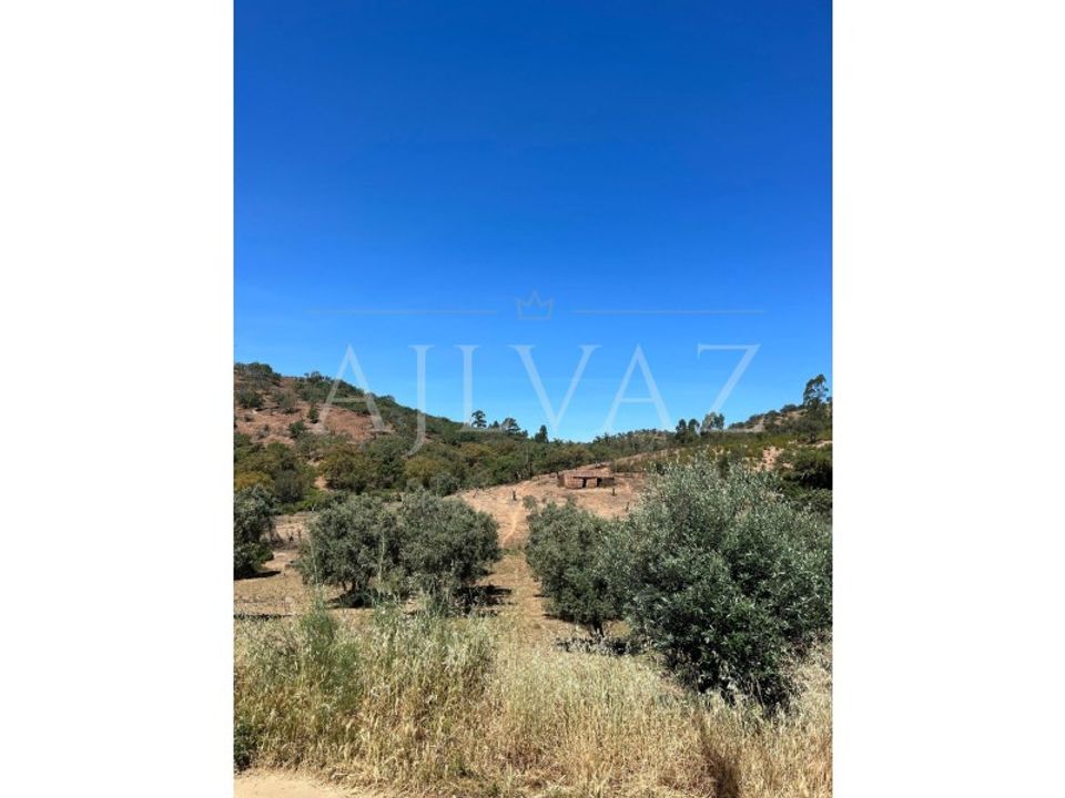 Farm i Ourique, Beja - foto 1