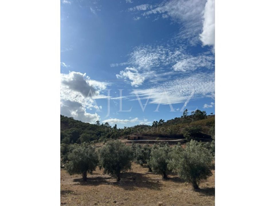 Farm i Ourique, Beja - foto 3