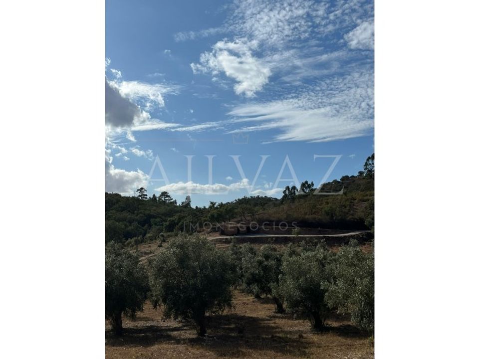 Farm i Ourique, Beja - foto 4