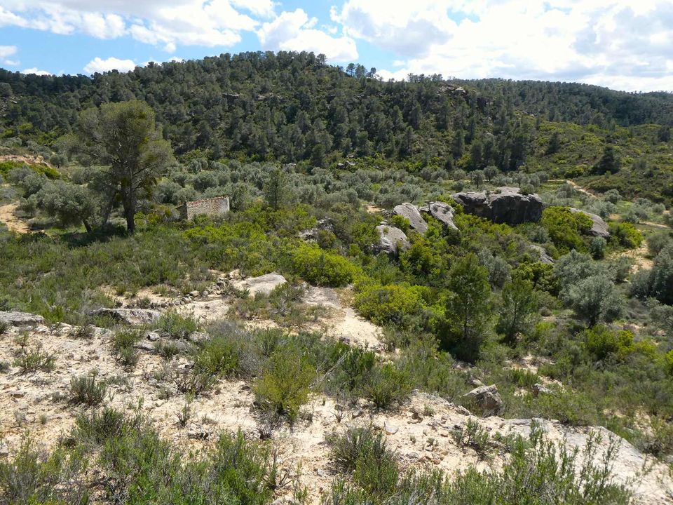 Finca i Maella, Zaragoza - bilde 1