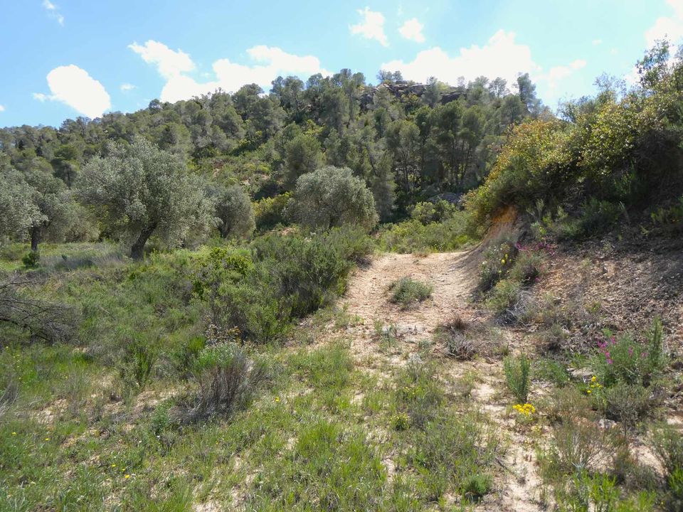 Finca i Maella, Zaragoza - bilde 3