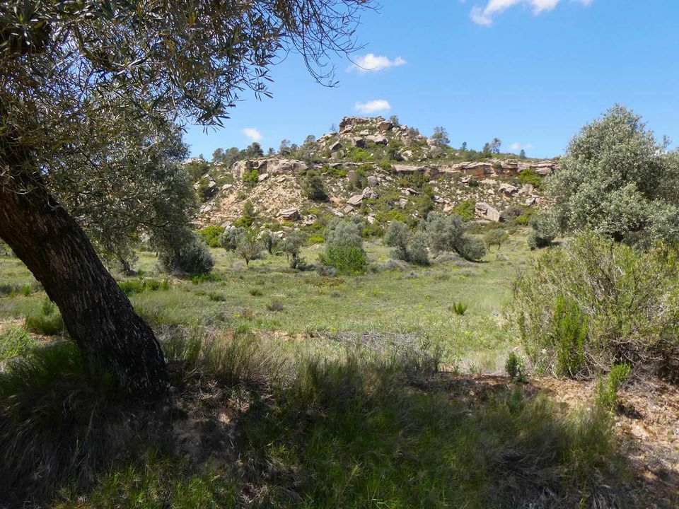 Finca i Maella, Zaragoza - bilde 2