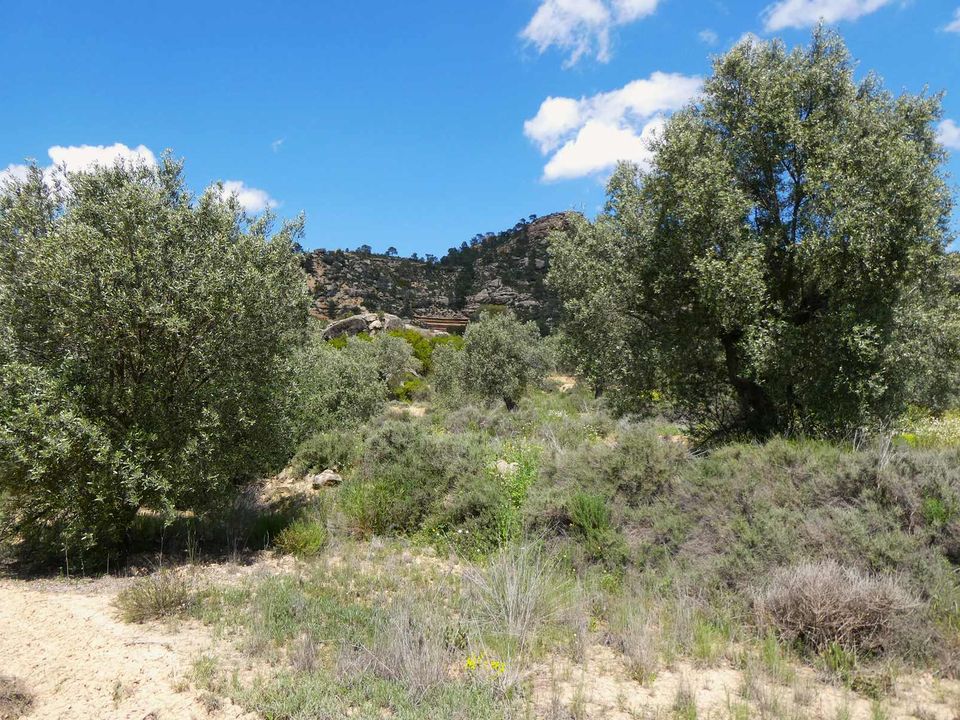 Finca i Maella, Zaragoza - bilde 5