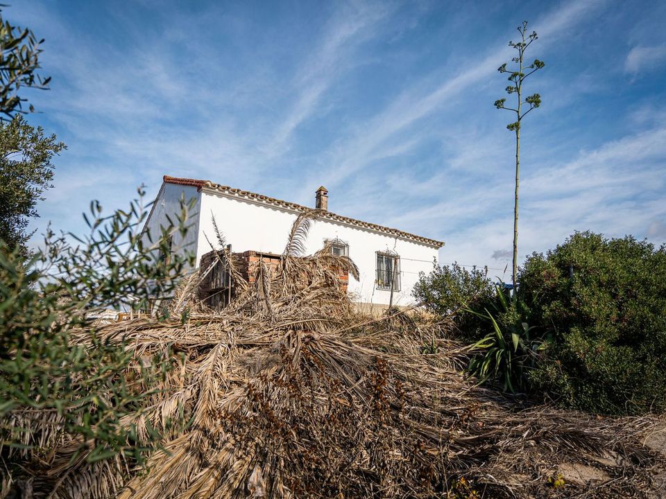Finca i Manilva, Malaga - foto 4