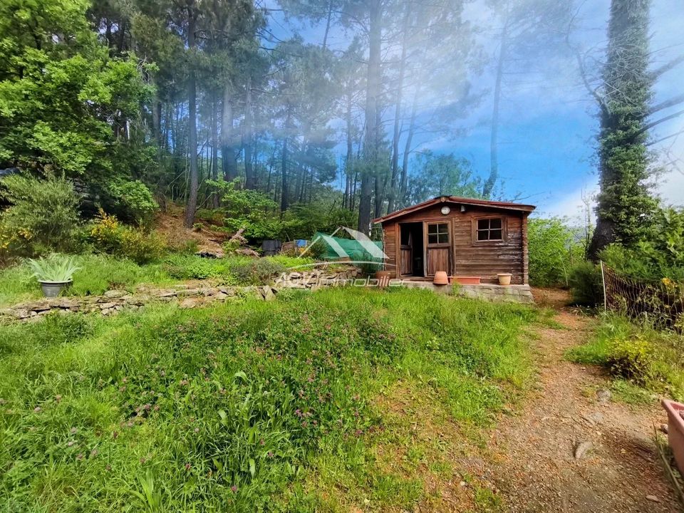Villa i Les Salles-du-Gardon, Gard - foto 3