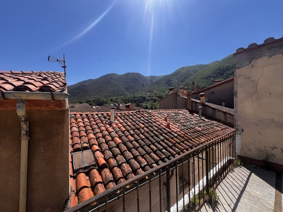 Villa i Arles-sur-Tech, Pyrenees-Orientales - foto 1