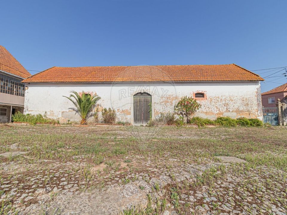 Farm i Vila Cha de Ourique, Santarem - foto 2
