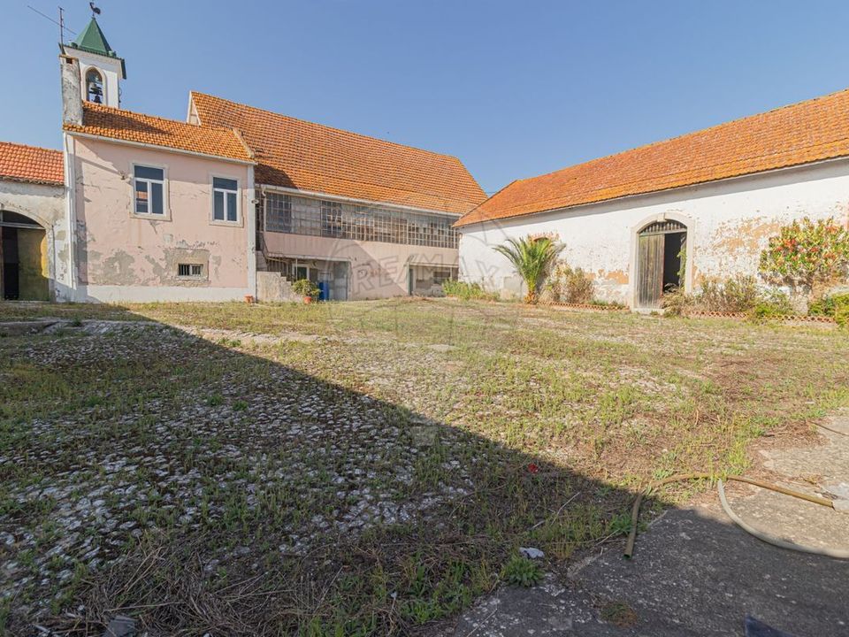 Farm i Vila Cha de Ourique, Santarem - foto 3