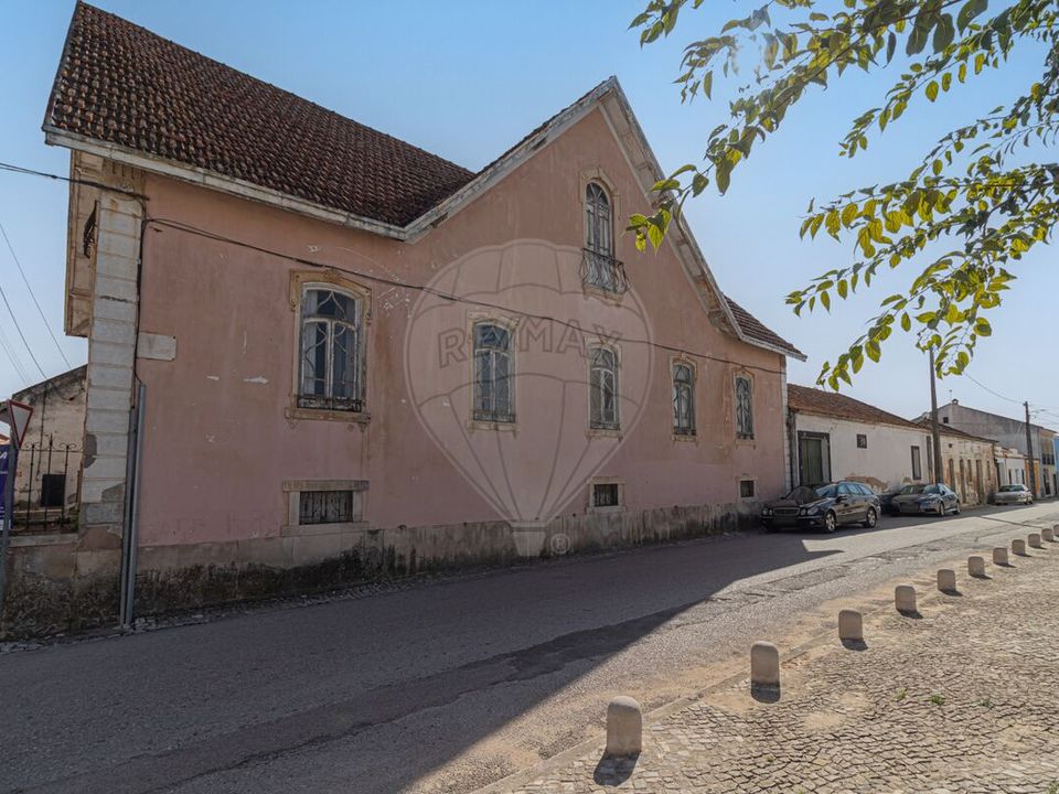 Farm i Vila Cha de Ourique, Santarem - foto 4