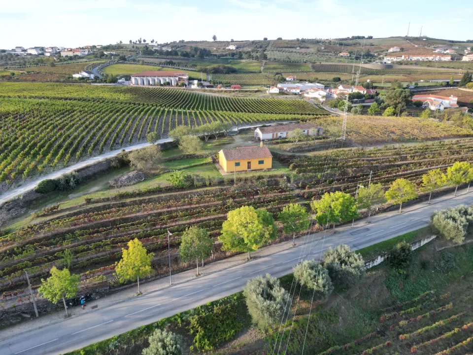 Farm hus i Sao Joao da Pesqueira, Viseu - foto 1