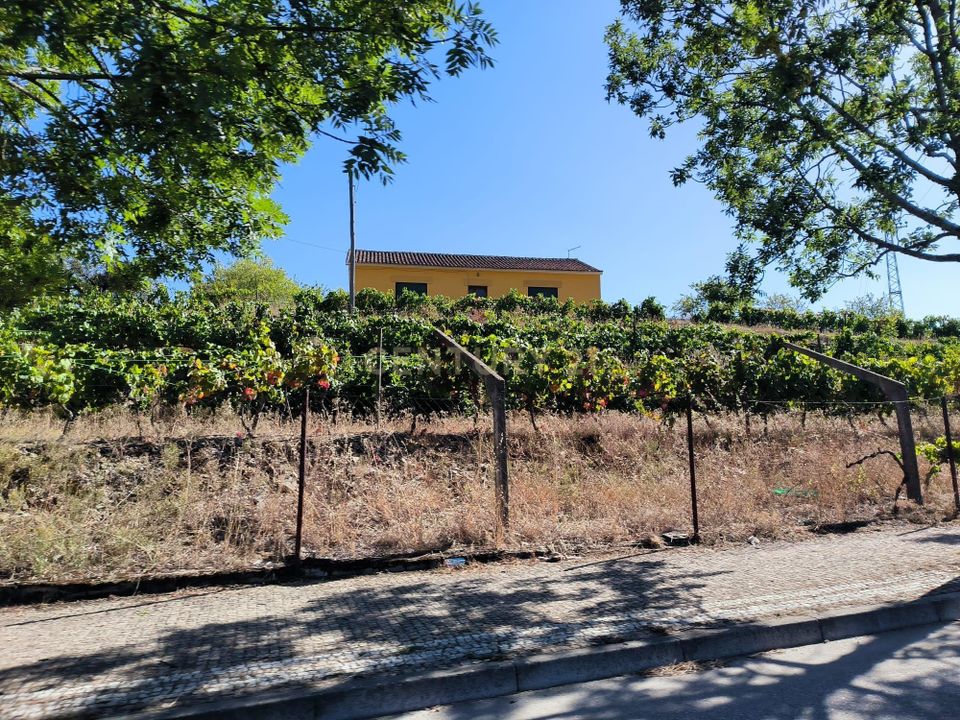 Farm hus i Sao Joao da Pesqueira, Viseu - foto 2