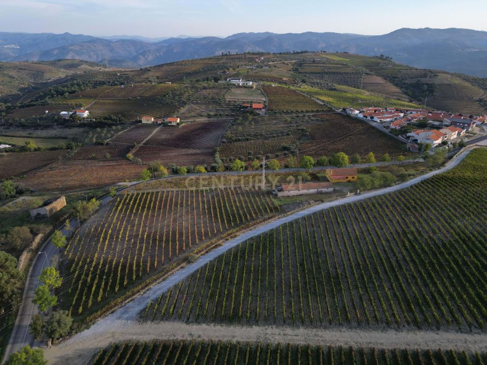 Farm hus i Sao Joao da Pesqueira, Viseu - foto 3