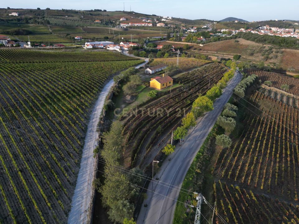 Farm hus i Sao Joao da Pesqueira, Viseu - foto 4