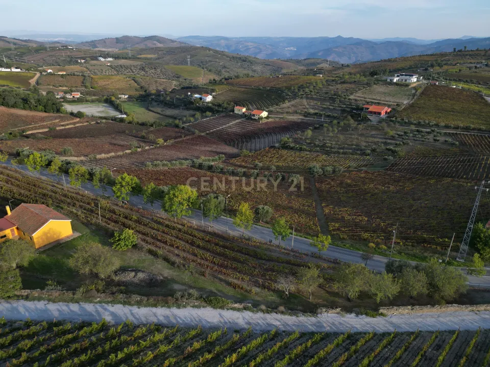 Farm hus i Sao Joao da Pesqueira, Viseu - foto 5