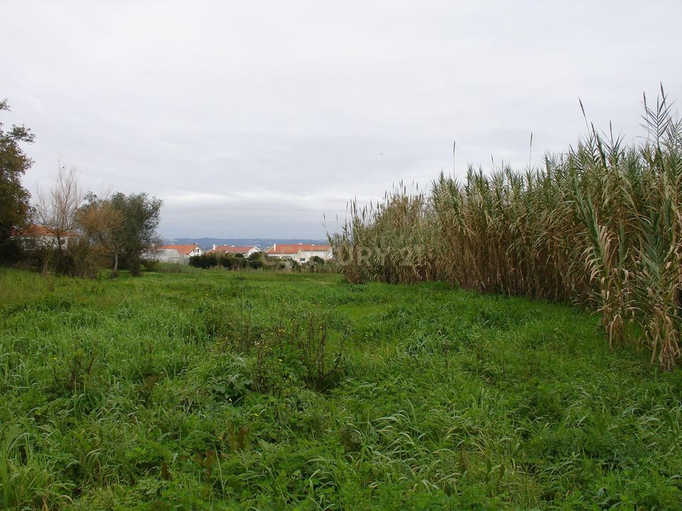 Helårsgrund i Figueira da Foz, Coimbra - foto 5