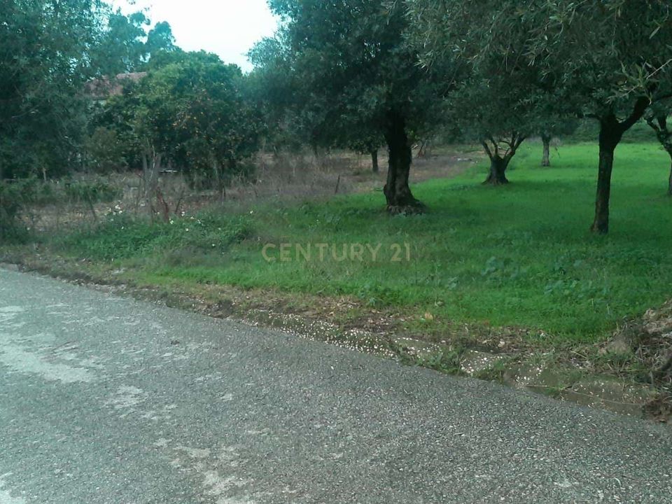 Tomt i Antuzede e Vil de Matos, Coimbra - bilde 5