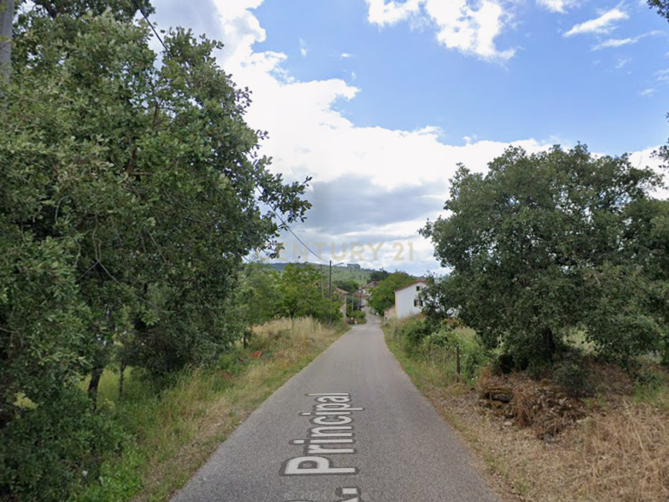 Helårsgrund i Ferreira do Zezere, Santarem - foto 5