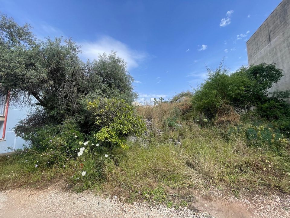 Erhvervsejendom i Solarino, Siracusa - foto 2