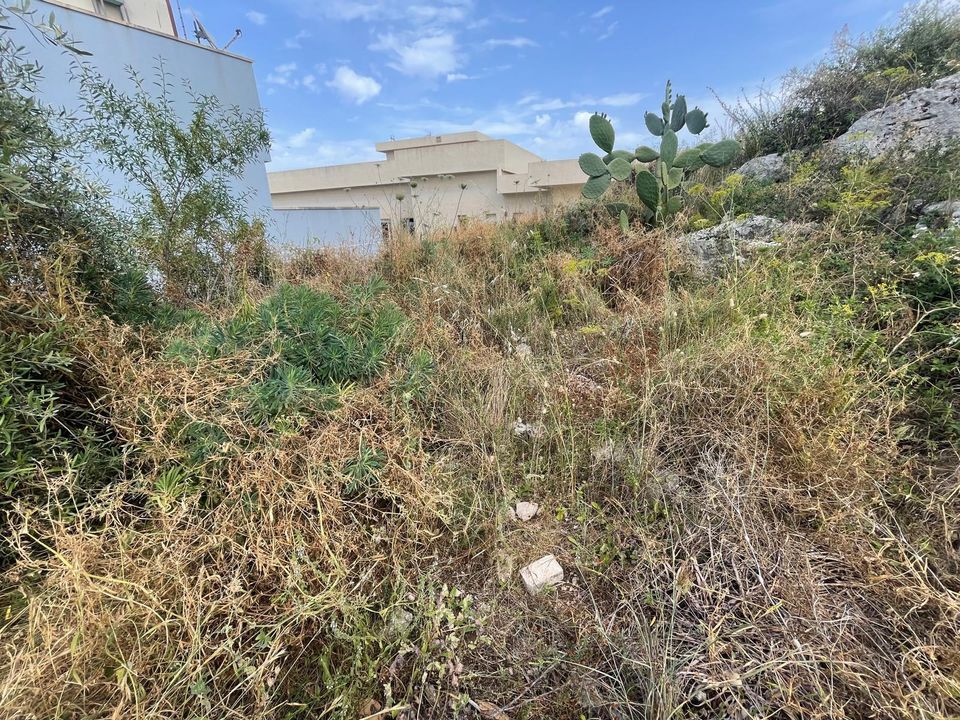 Erhvervsejendom i Solarino, Siracusa - foto 4