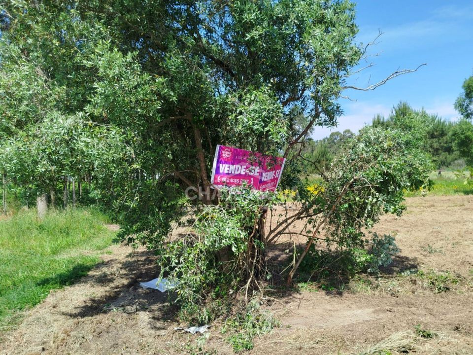 Helårsgrund i Vagos, Aveiro - foto 2