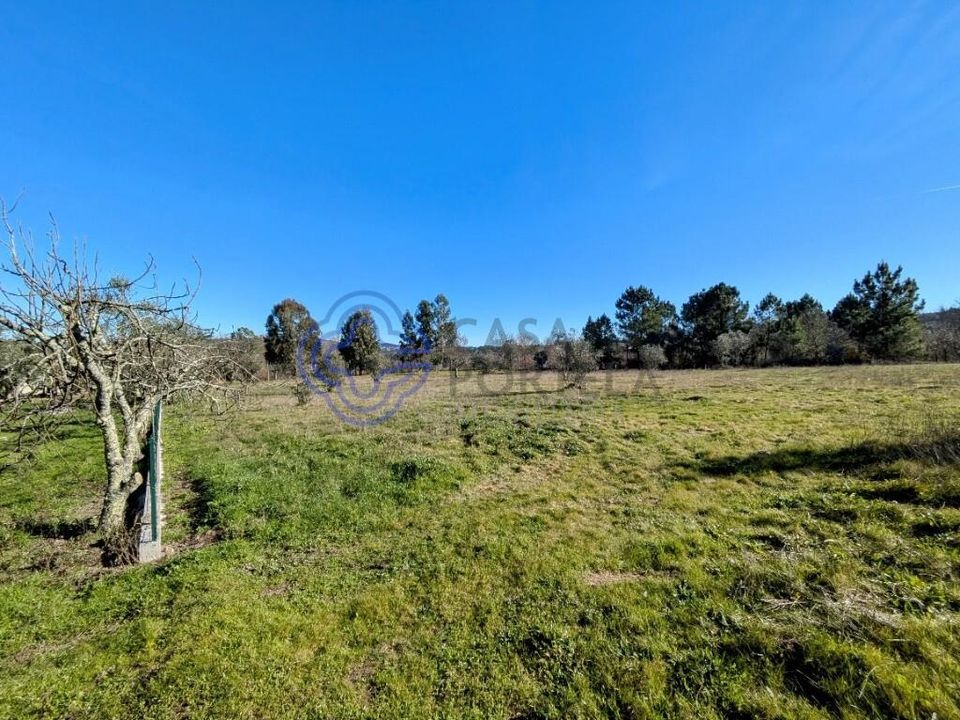 Terreno en Mangualde, Viseu - foto 1