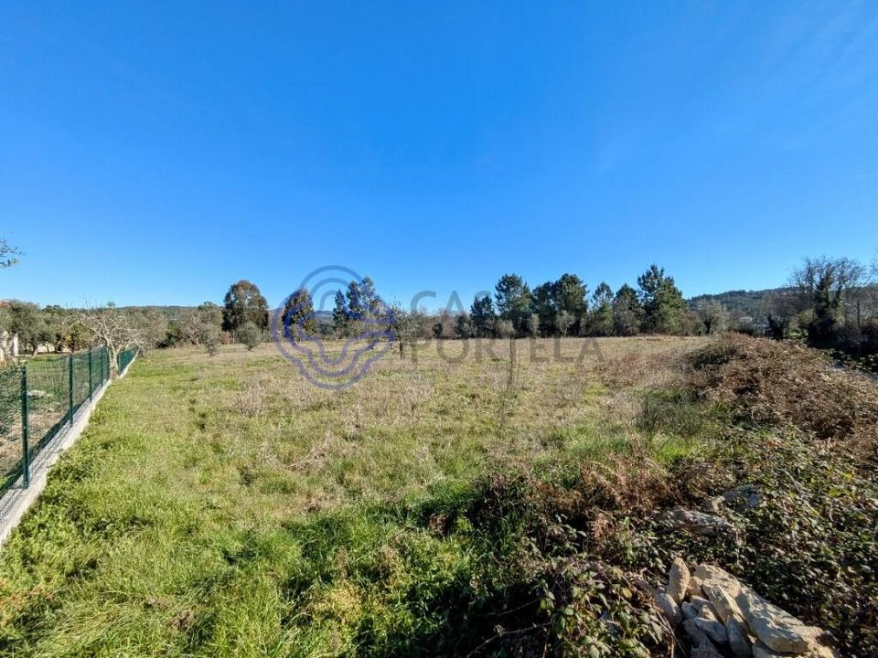 Terreno en Mangualde, Viseu - foto 3