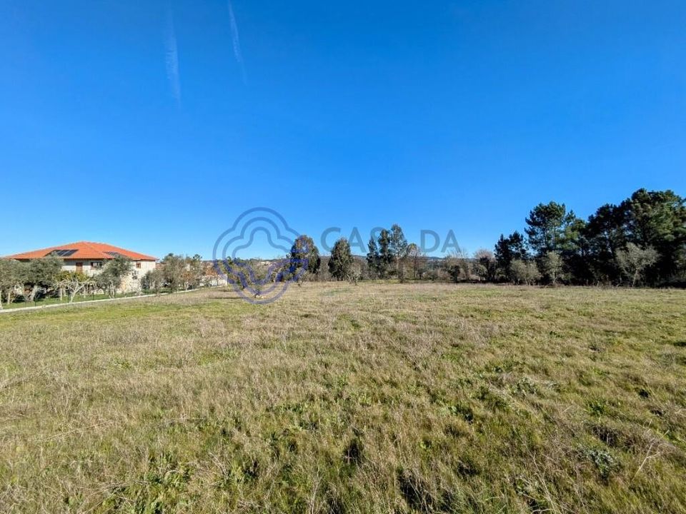 Terreno en Mangualde, Viseu - foto 5