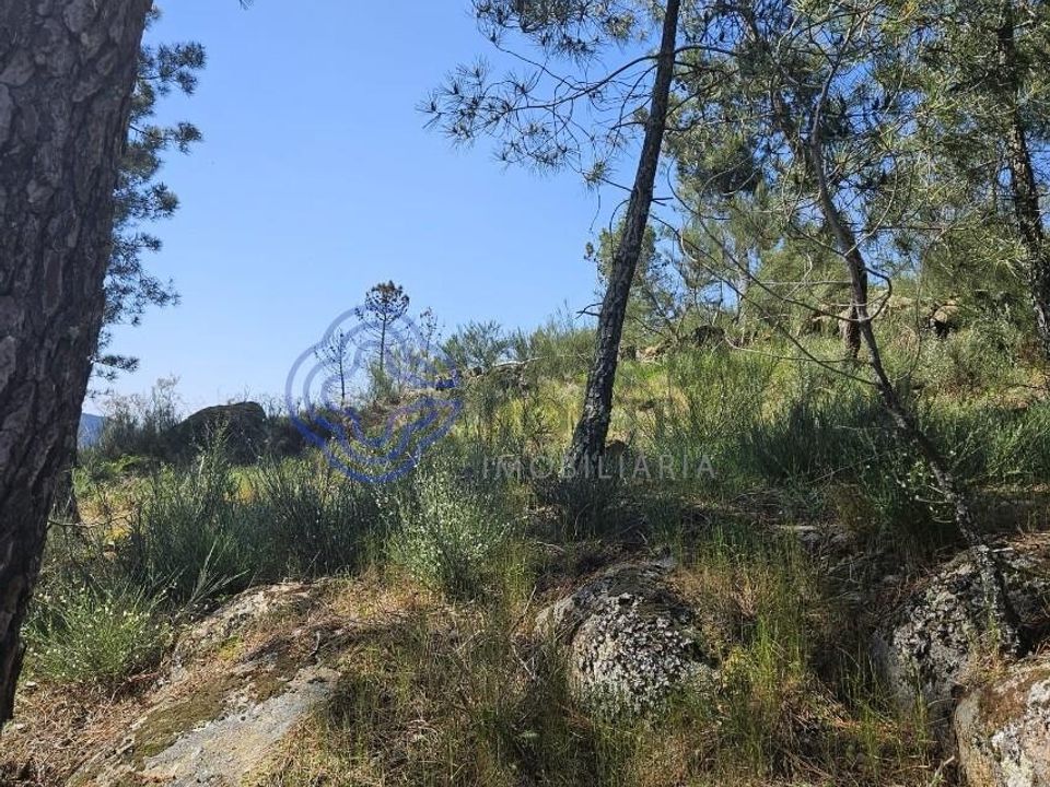 Helårsgrund i Cinfaes, Viseu - foto 2