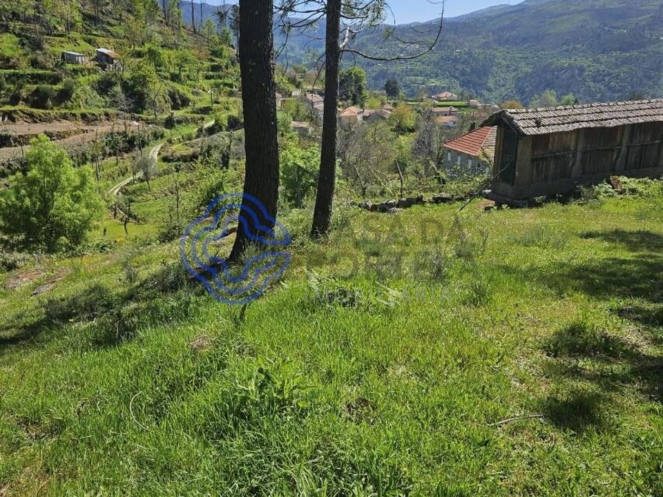 Helårsgrund i Cinfaes, Viseu - foto 3