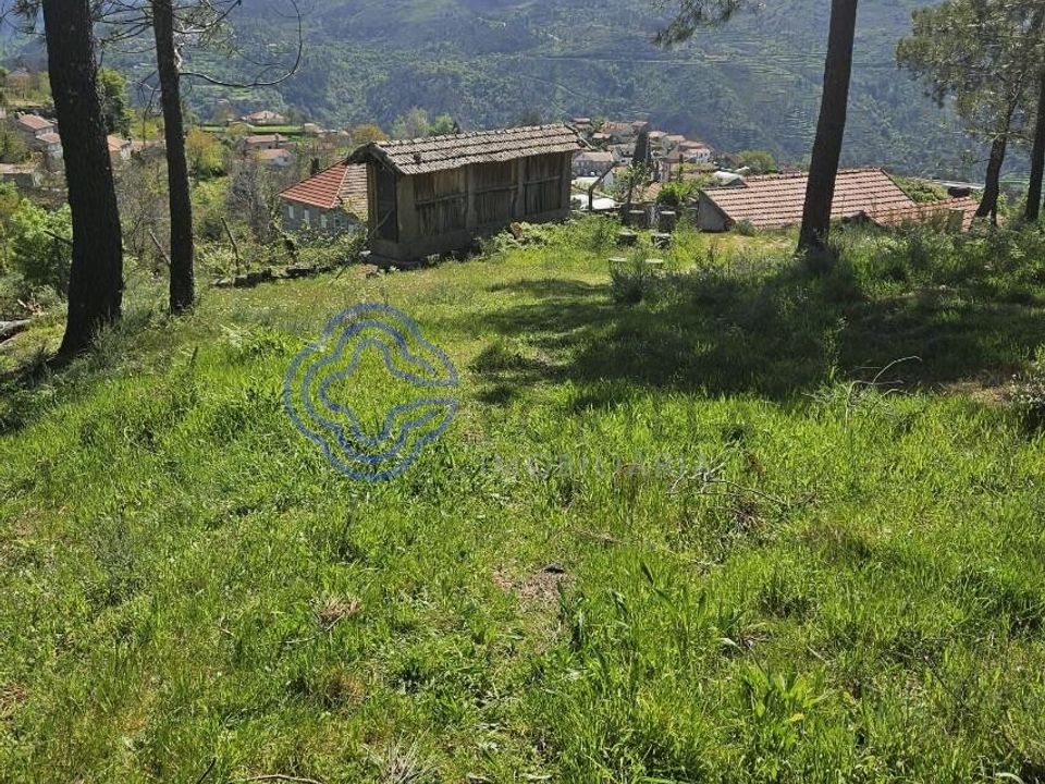 Helårsgrund i Cinfaes, Viseu - foto 4
