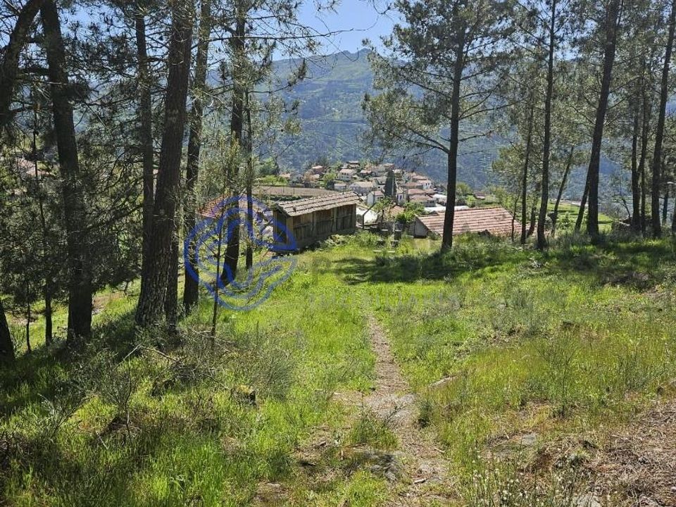 Helårsgrund i Cinfaes, Viseu - foto 5