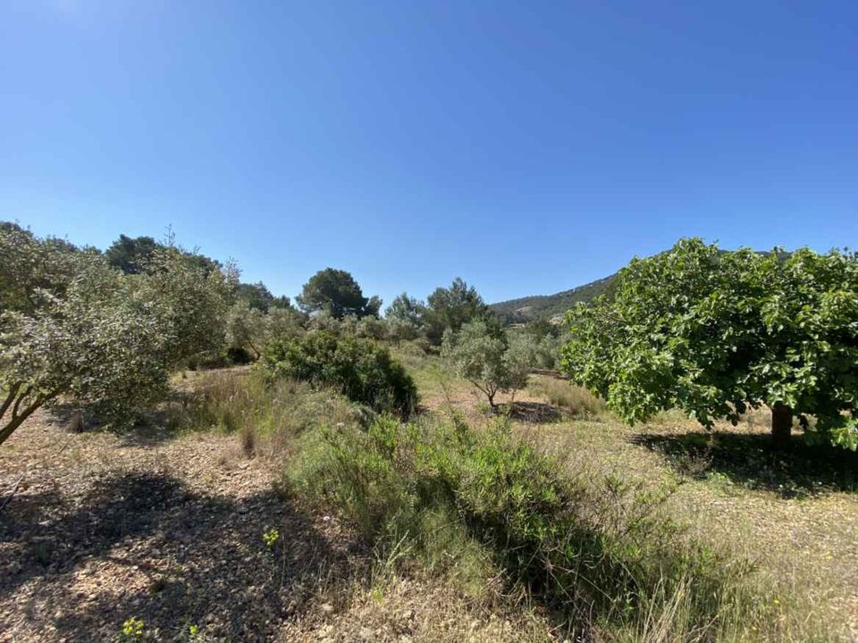 Helårsgrund i Santa Eulalia Del Rio, Ibiza - foto 3