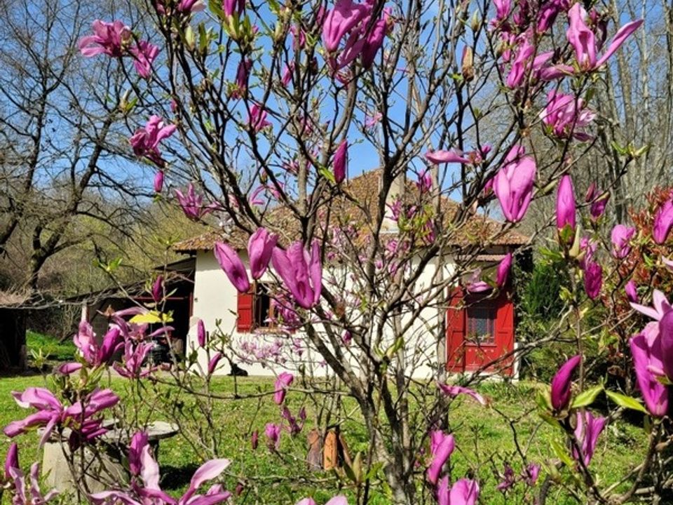 Villa i Labastide-d'Armagnac, Landes - foto 3
