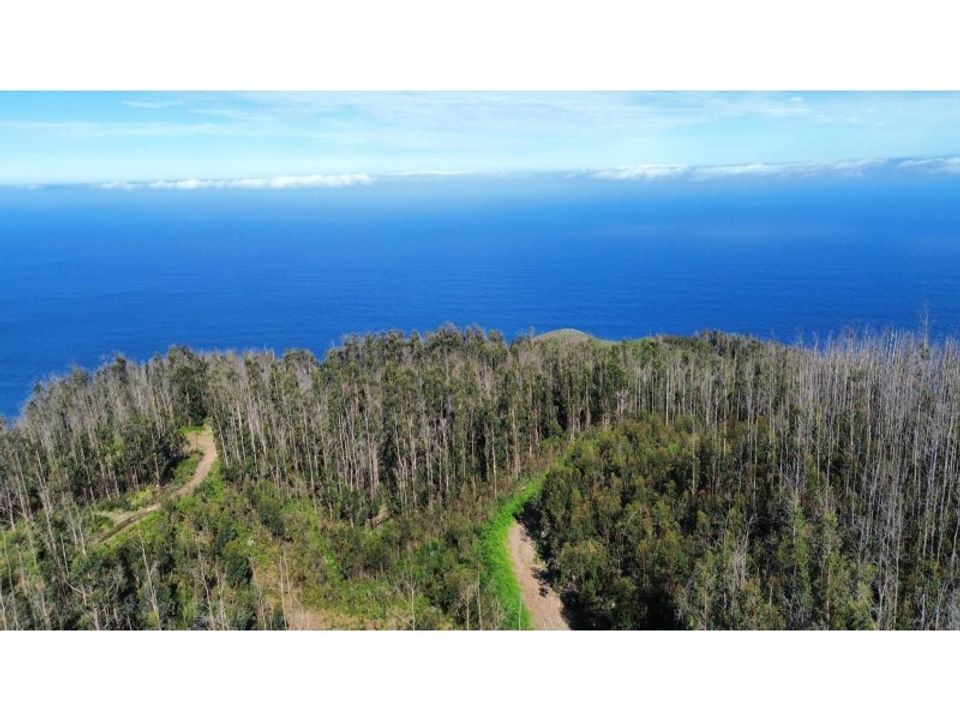 Helårsgrund i Achadas da cruz, Madeira - foto 1