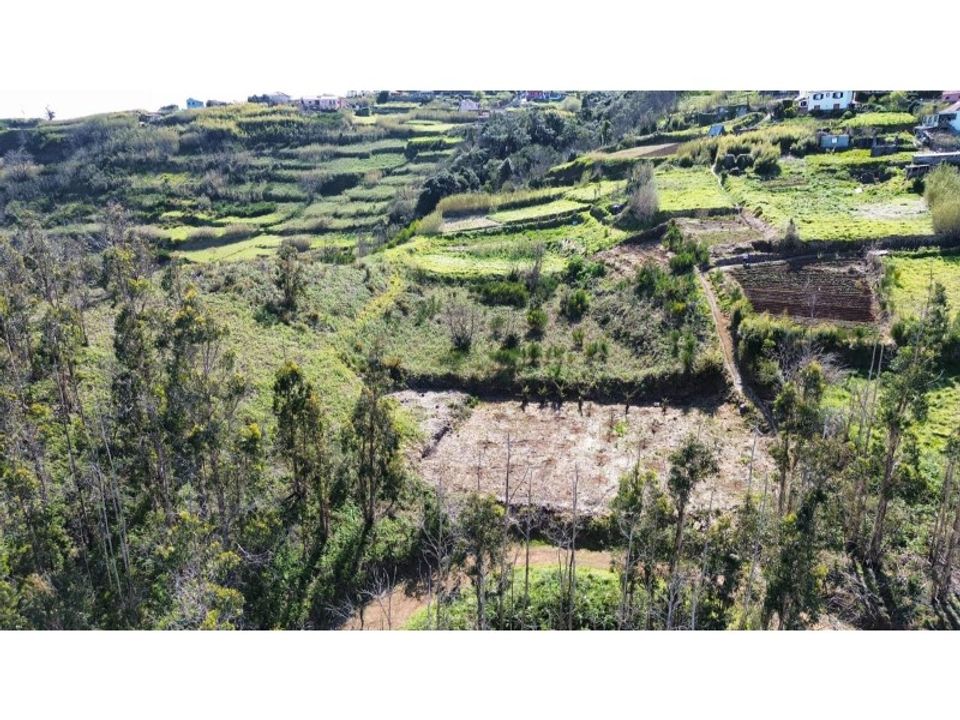 Helårsgrund i Achadas da cruz, Madeira - foto 3