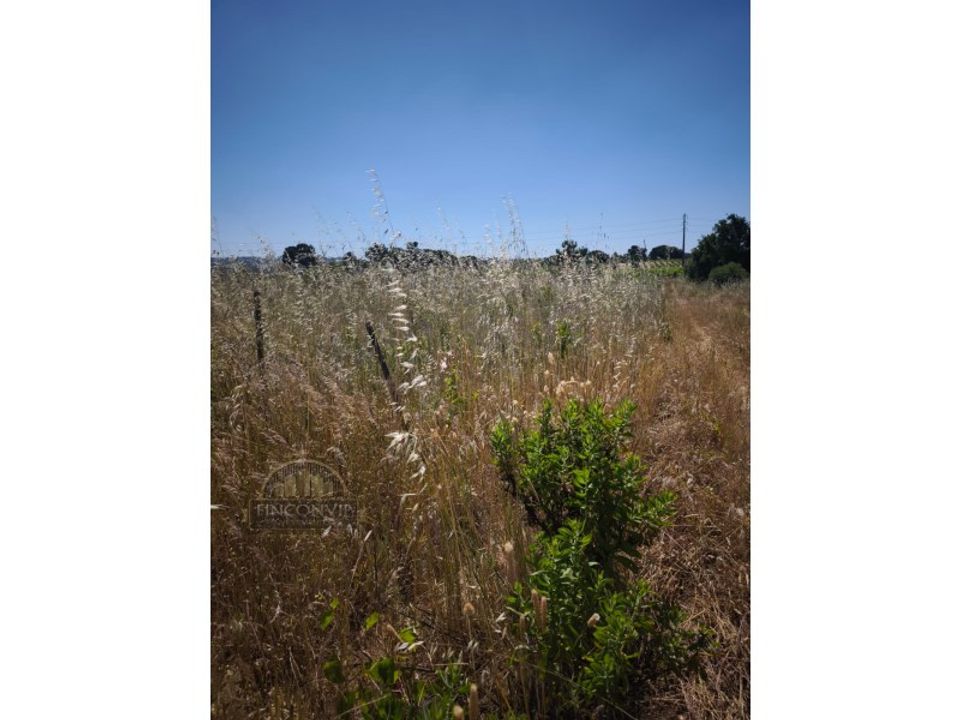 Helårsgrund i Palmela, Setubal - foto 1